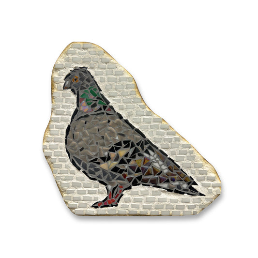 AIC - Pigeon, 2025-26