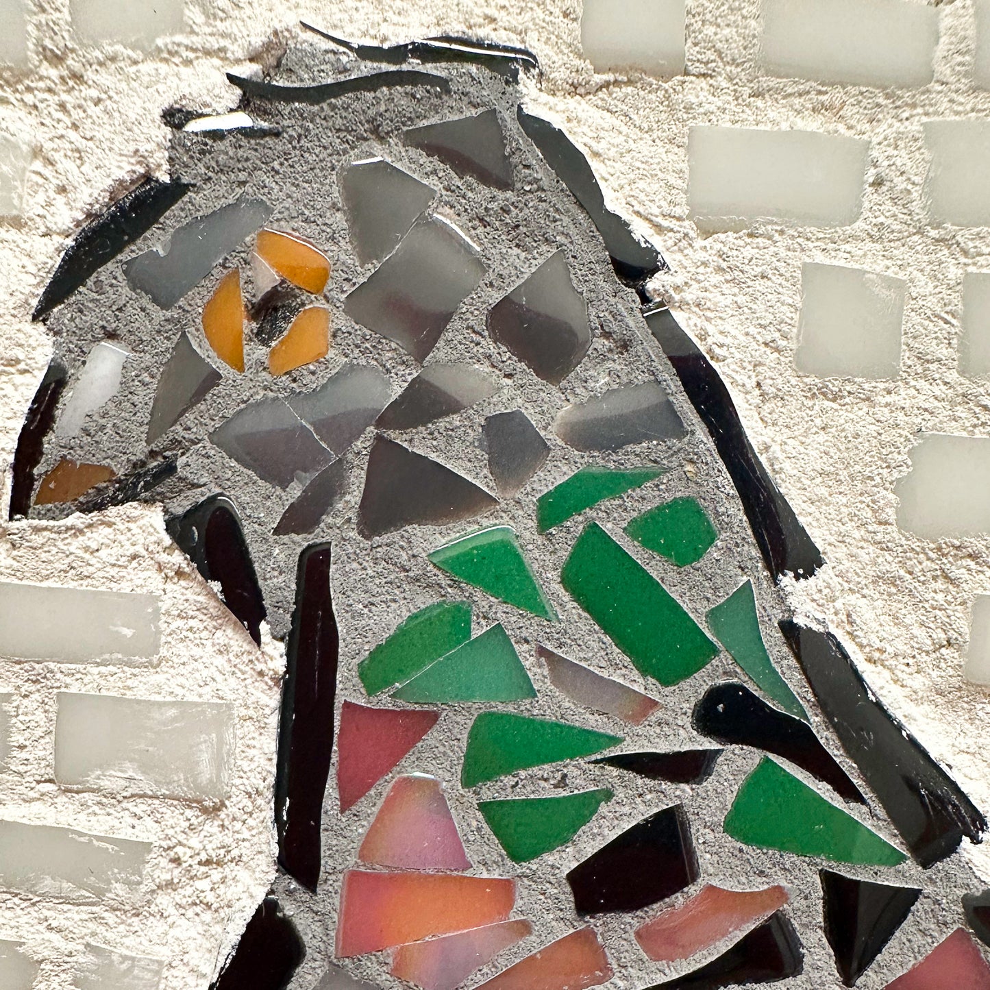 AIC - Pigeon, 2025-26